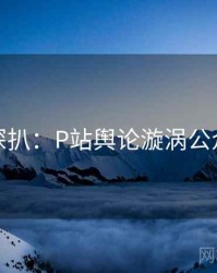 独家深扒：P站舆论漩涡公众心理