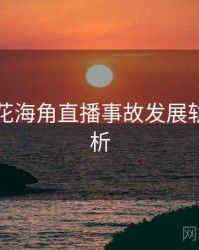 国产探花海角直播事故发展轨迹深解析