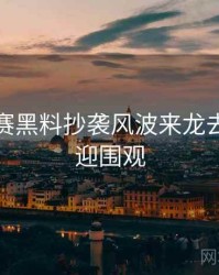 每日大赛黑料抄袭风波来龙去脉，欢迎围观