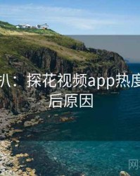 独家深扒：探花视频app热度反转背后原因