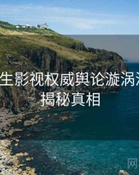 兔子先生影视权威舆论漩涡深解析，揭秘真相