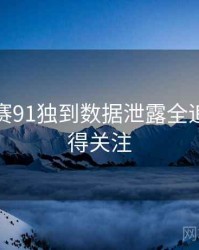 每日大赛91独到数据泄露全追踪，值得关注