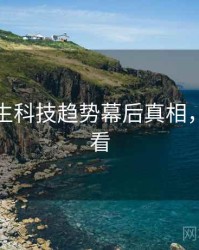 兔子先生科技趋势幕后真相，速来查看