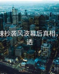 探花热辣抄袭风波幕后真相，带你看透