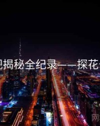 多维影视揭秘全纪录——探花公众心理