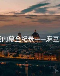 重磅财经内幕全纪录——麻豆流量密码