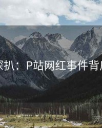 独家深扒：P站网红事件背后原因