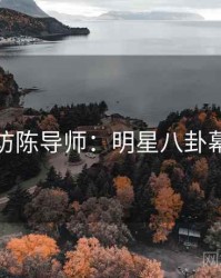 麻豆专访陈导师：明星八卦幕后故事