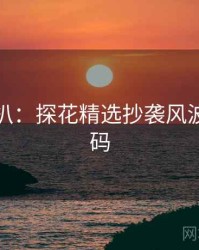 独家深扒：探花精选抄袭风波流量密码