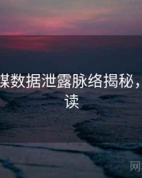 星空传媒数据泄露脉络揭秘，立即阅读