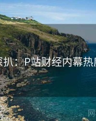 独家深扒：P站财经内幕热度逻辑