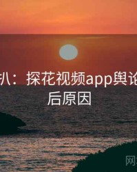 独家深扒：探花视频app舆论漩涡背后原因