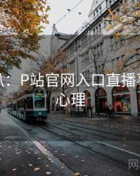 独家深扒：P站官网入口直播事故公众心理