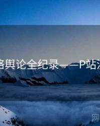 独家网络舆论全纪录——P站流量密码