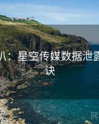 独家深扒：星空传媒数据泄露爆火秘诀