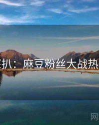 独家深扒：麻豆粉丝大战热度逻辑