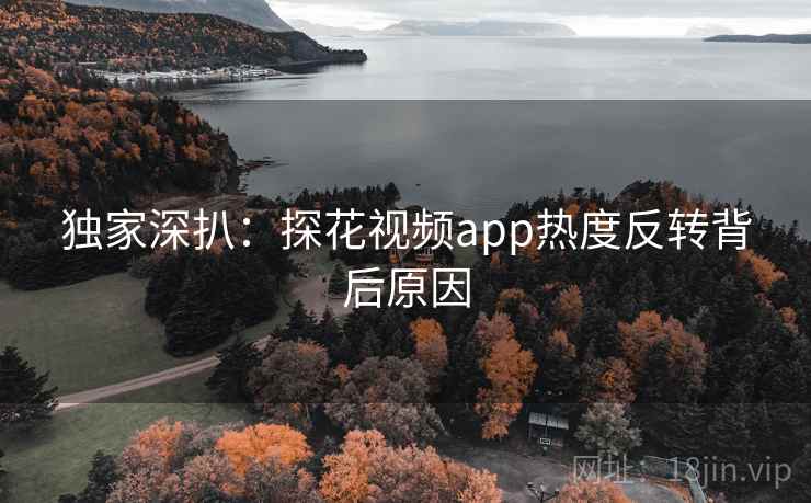 独家深扒:探花视频app热度反转背后原因 独家深扒:探花视频app热度反转背后原因