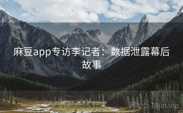 麻豆app专访李记者：数据泄露幕后故事
