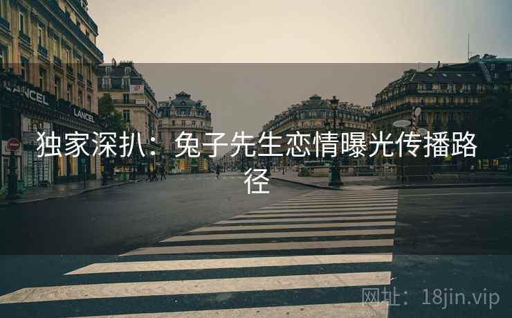 独家深扒:兔子先生恋情曝光传播路径 独家深扒:兔子先生恋情曝光传播路径