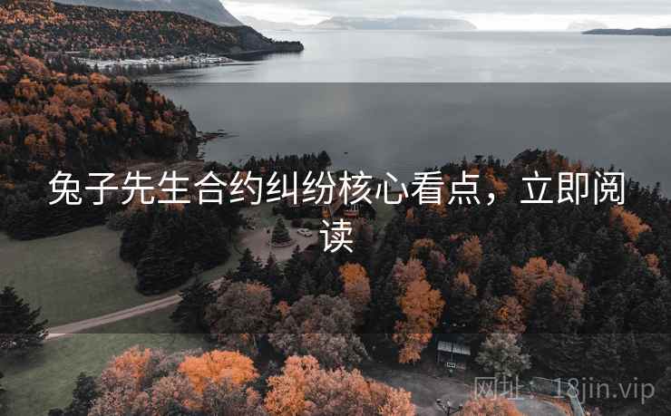 兔子先生合约纠纷核心看点，立即阅读